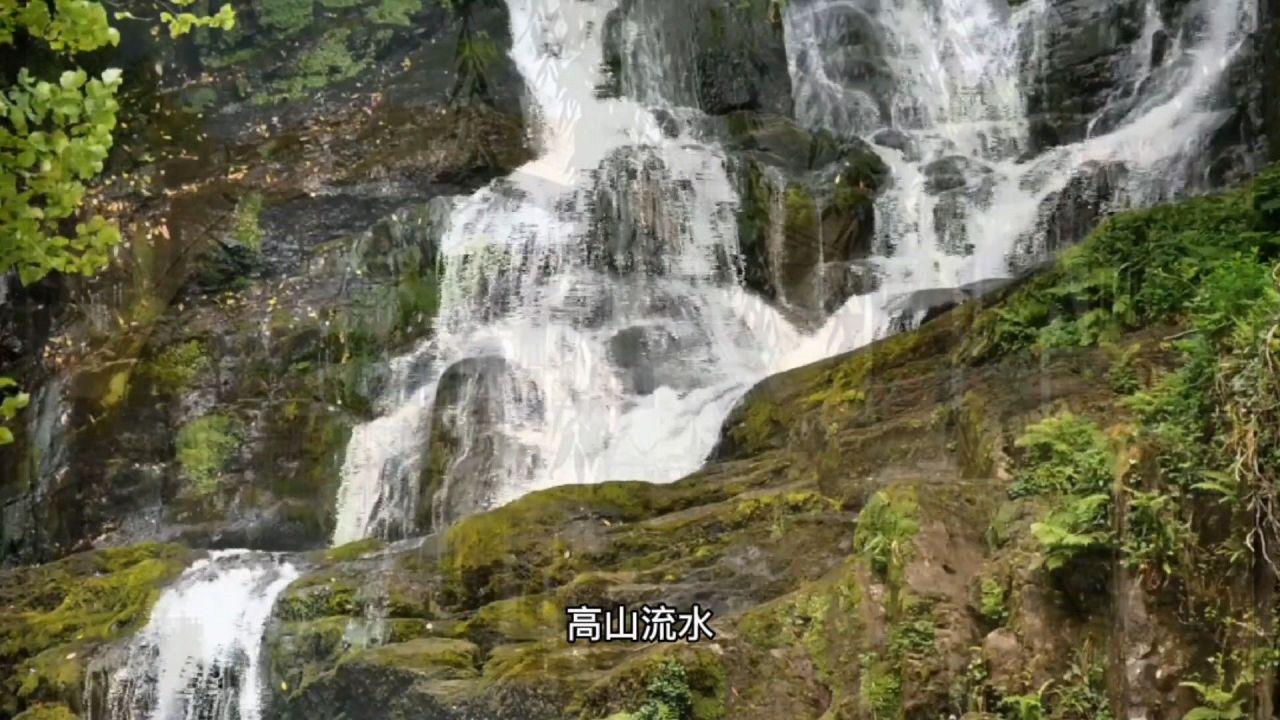 里昂:长城汽车去年初步业绩符预期 24年销量或增至145万辆以上